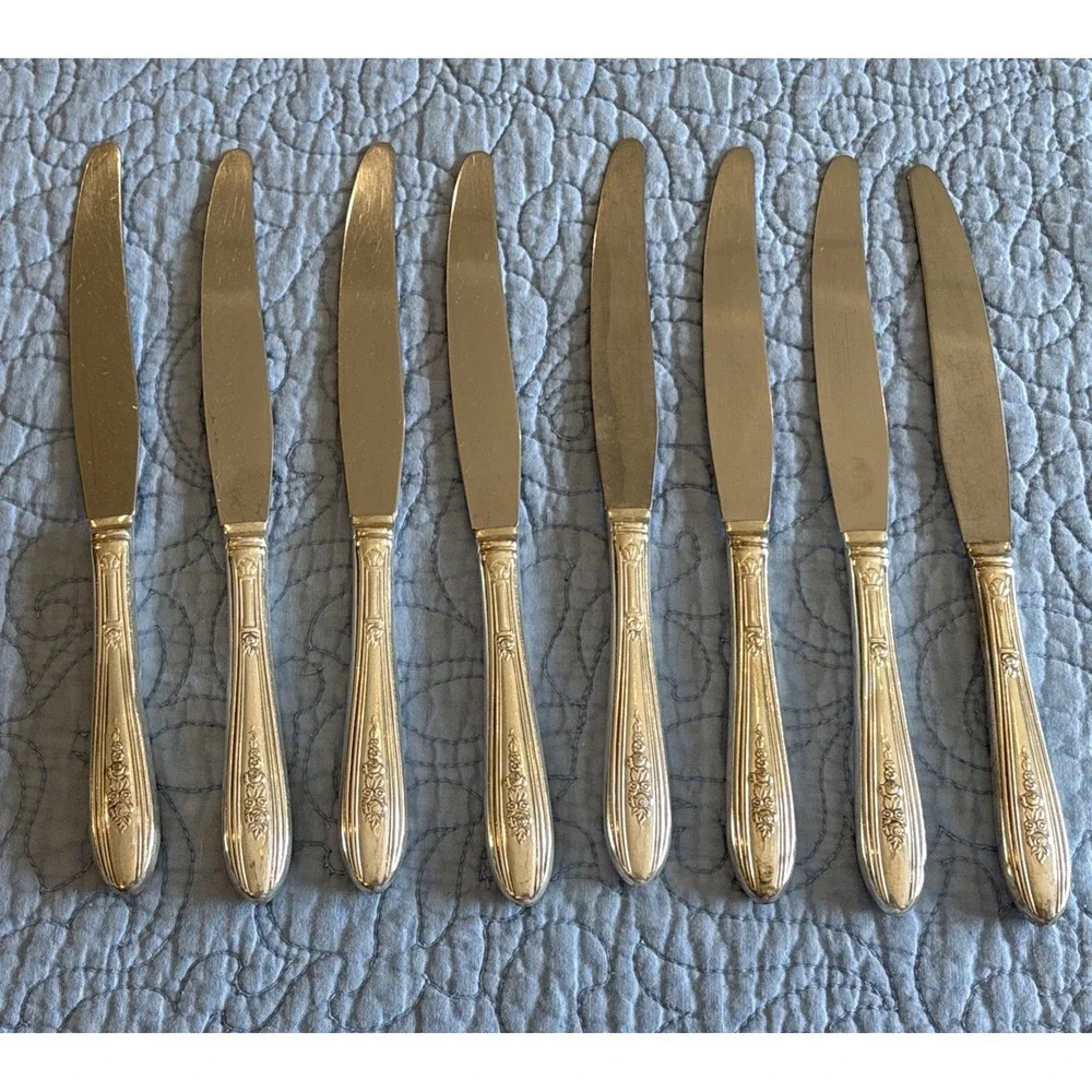 Vintage N.S.CO National Silver Co 
